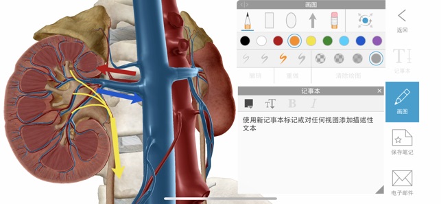 人体解剖学图谱app下载 2023人体解剖学图谱 for iPhone V2023.4.11 苹果手机版-2