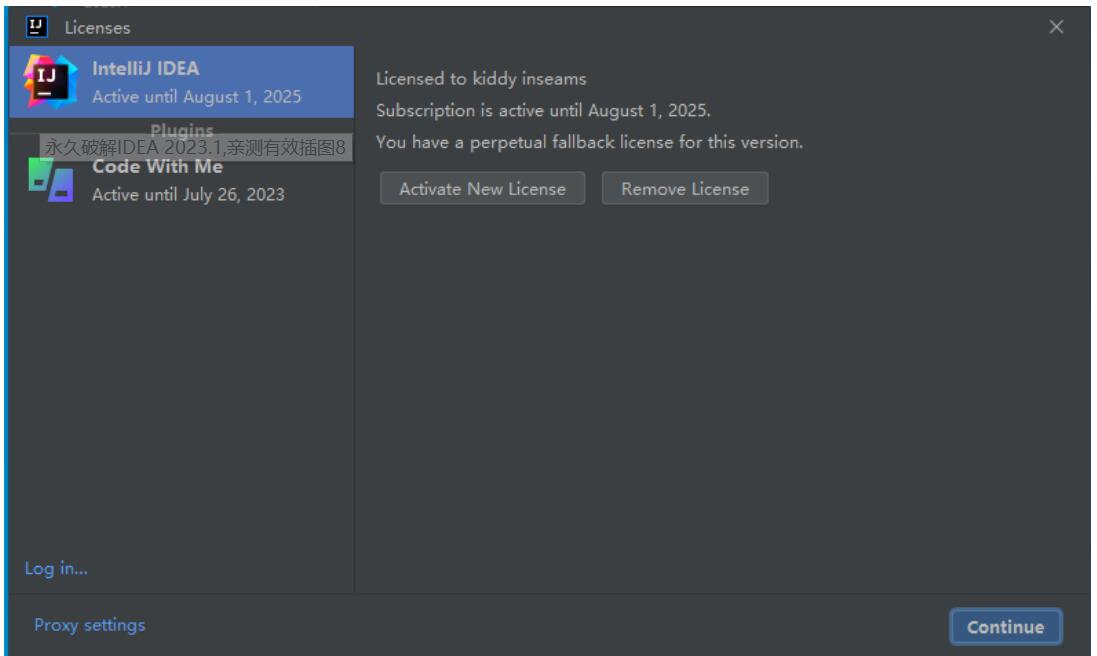 IntelliJ IDEA2023破解版下载 IntelliJ IDEA V2023 V2023.1.2 最新完美激活版(附激活教程+激活码)-6