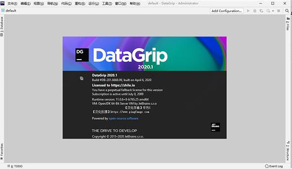 datagrip2023官方下载 JetBrains DataGrip 2023.1.2 免费中文正式版(附汉化包+安装教程)-10